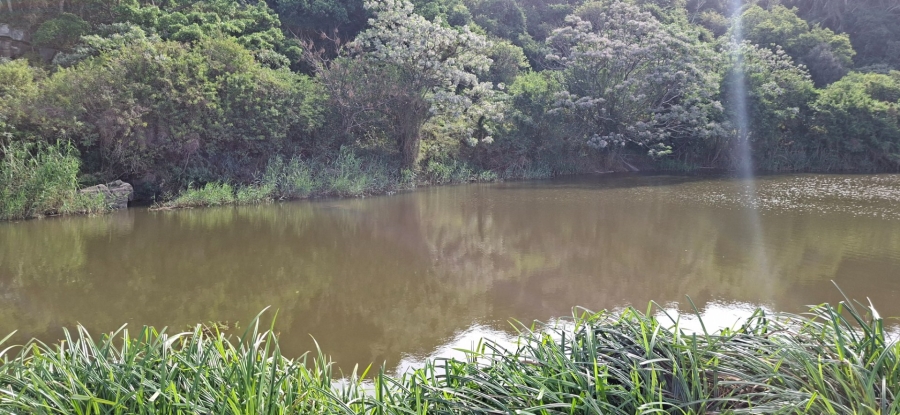 Commercial Property for Sale in Meisies Halt Eastern Cape